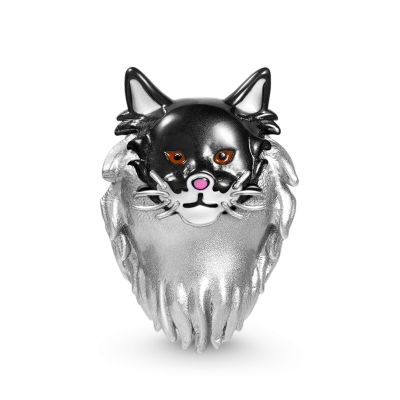 Maine Coon Cat Charm